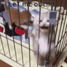 why-you-bully-me-jail.gif