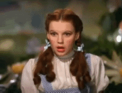 omg148.gif