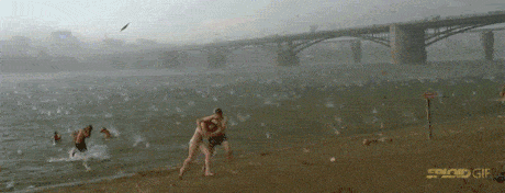 giphy.gif