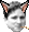 1.0
