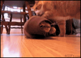 1326617990934.gif