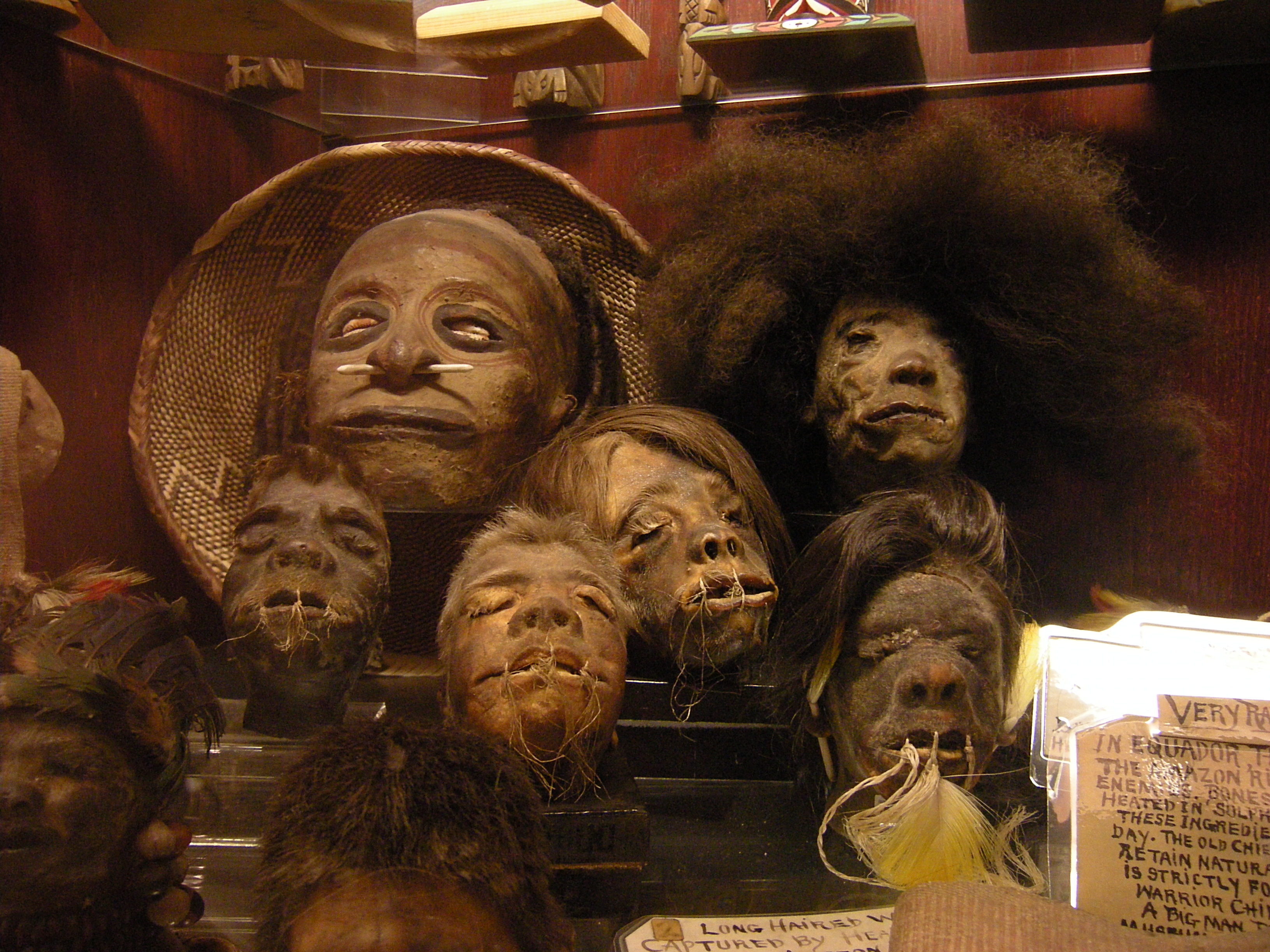 Seattle_-_Curiosity_Shop_-_shrunken_heads_02.jpg