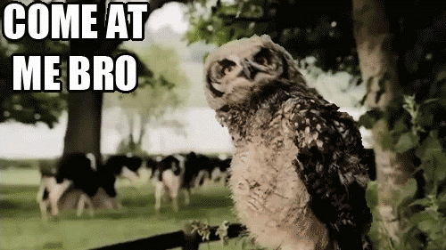 tumblr_mbxb8fdPcQ1rofgxjo2_500.gif