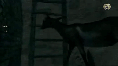 tumblr_ml5qebXOoq1qjpsedo3_400.gif