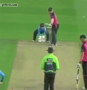 1407342641_cricket_player_accidentaly_hits_flying_seagull.gif