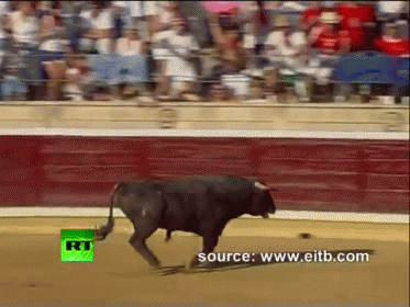 bull-rage.gif