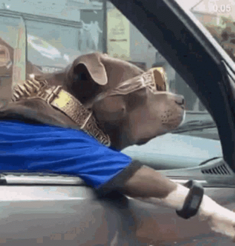 eldoggy.gif