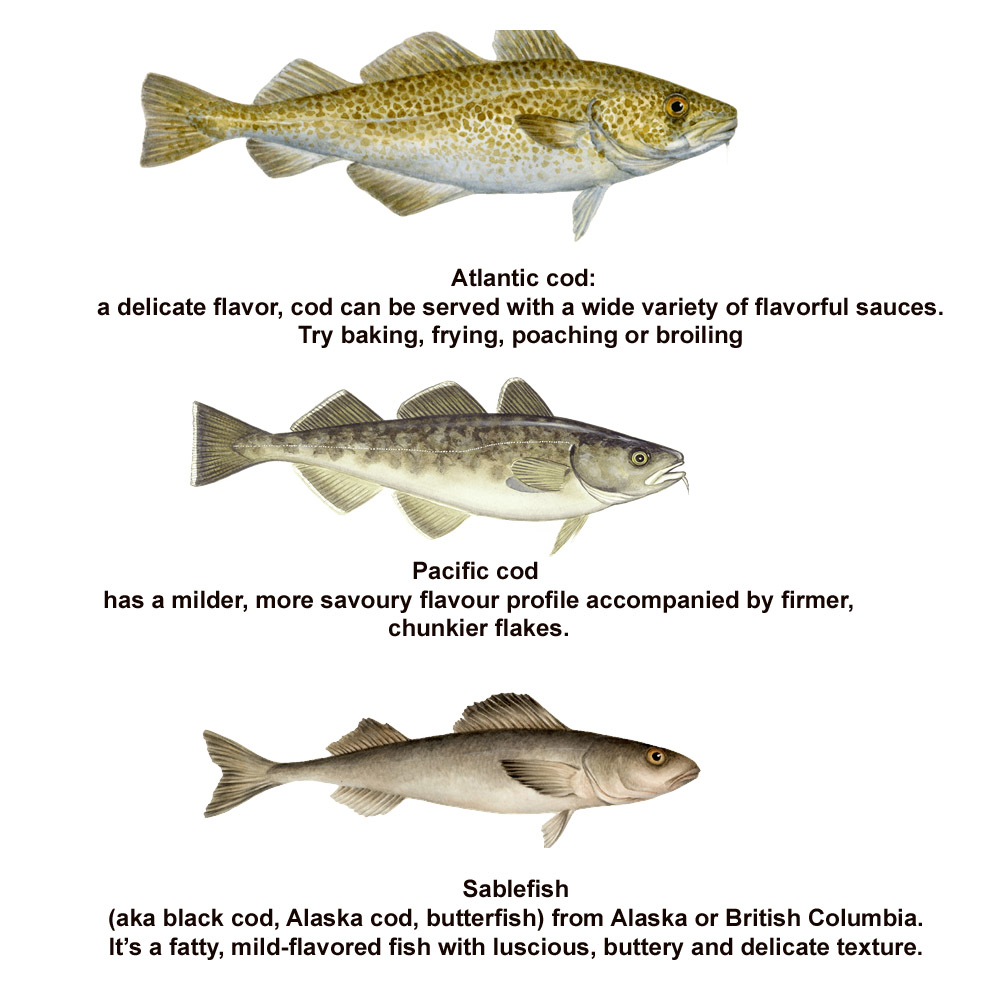codfish0.jpg