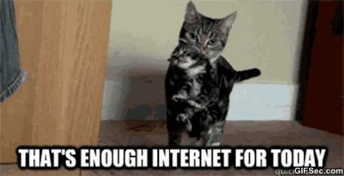 giphy.gif