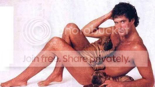 david-hasselhoff.jpg