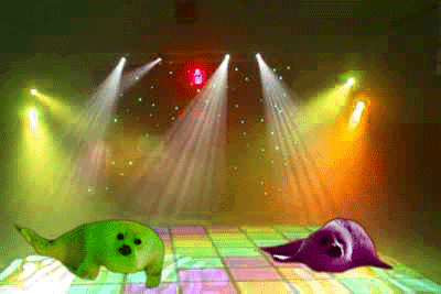 clubbing-seals.gif