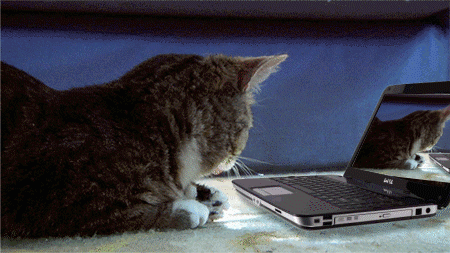 tumblr_ndalpcFhow1s8c9jeo1_500.gif