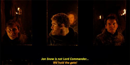 tumblr_n6wiufB03d1qm2wiko3_500.gif