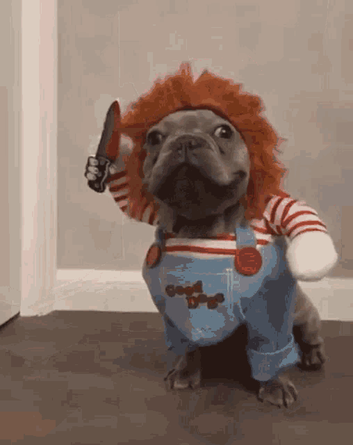 kill-you-chuckie.gif