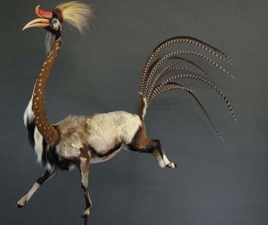bizarre-hybrids.jpg