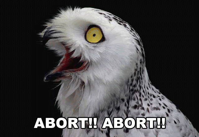 tumblr_n3lng47cbn1smcbm7o1_1280.gif