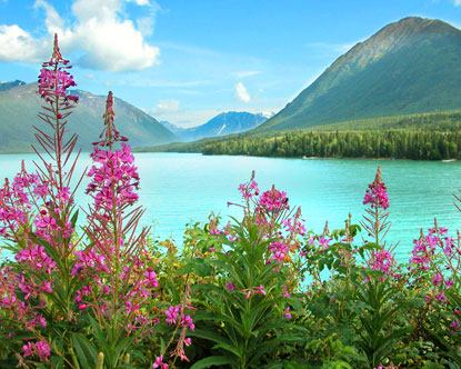 alaska-kenai-river.jpg