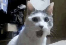 bbcddf9701b3a3ef892b760192507fb4.gif
