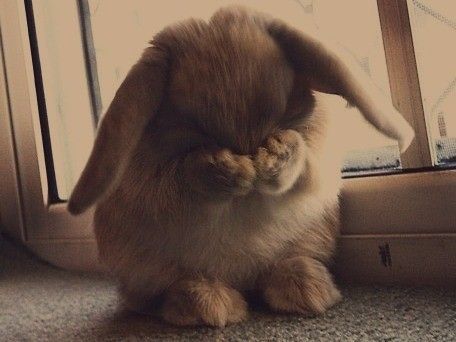 tumblr_luku1eww6b1qh5d8ko1_500.jpg
