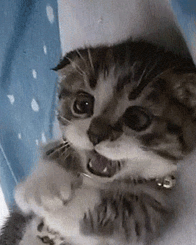 kB4xm.gif