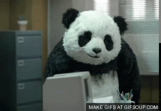 never-say-no-to-panda-o.gif