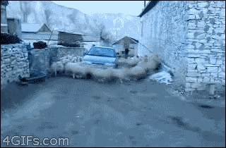 tumblr_mfgjygXbYI1qdlh1io1_r1_400.gif