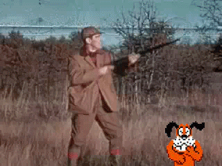 giphy.gif