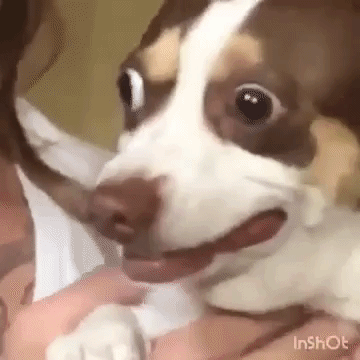 dde25220e324e3277b592ef1d6c20653.gif