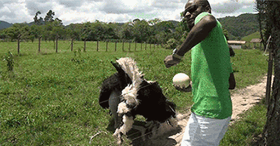 tumblr_mx6kq1odxj1rq9l6wo1_400.gif