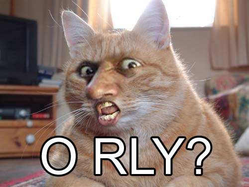orly3.jpg