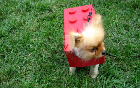 lego-dog-costume-480x300.jpg