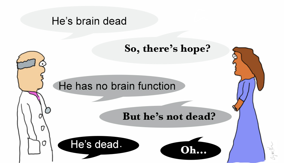 brain.jpg