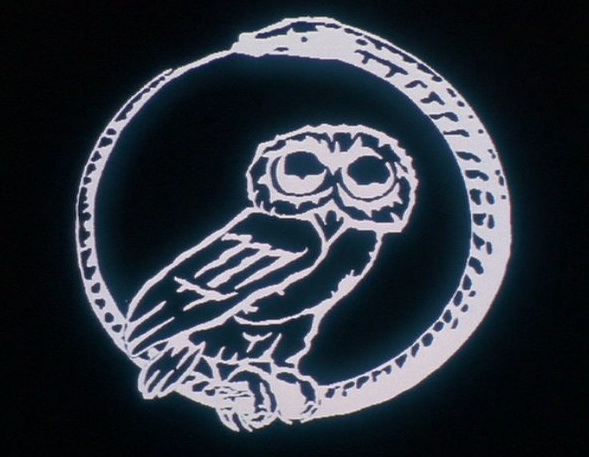 millennium-owls.jpg