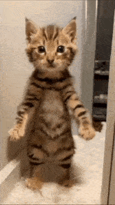 good-morning-images.gif