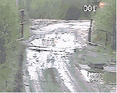tumblr_mub8e3JVMd1qzfebyo1_250.gif