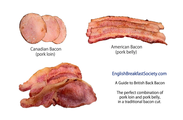 BaconGuide.jpg