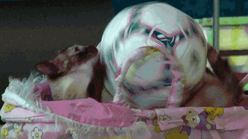 giphy.gif