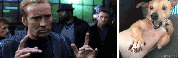 gif-king-c326eacc9254d577ec896c6b43b2587a.gif