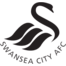 swansea-city.png