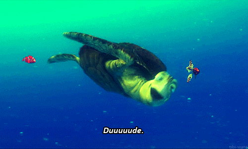 tumblr_mcofrvTWdO1rqb6qwo1_500.gif
