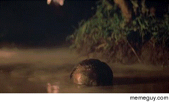 mrw-i-created-a-reddit-account-after-months-of-lurking-43292.gif