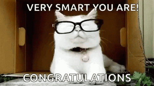 very-smart-you-are-congratulations-cat-aub7yxbu5jxgqh23.gif
