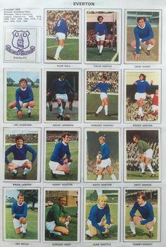 5e6091e0d933678a7dae73660d775874--everton-s.jpg