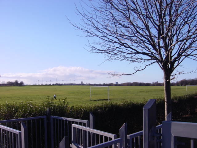 105895_e6b0cc21.jpg