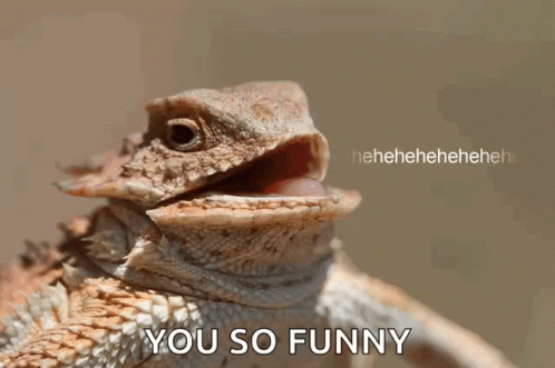 lizard-laughing.gif