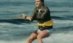 tumblr_n7ogf1Scer1sr2rgro1_250.gif