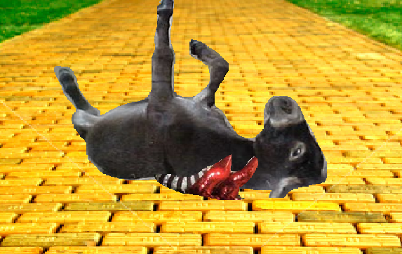fallen+donkey.png