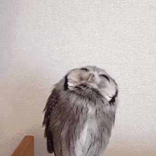 R0cxgrw.gif