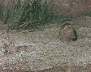 giphy1.gif