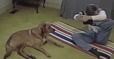 Dog-Yoga.gif